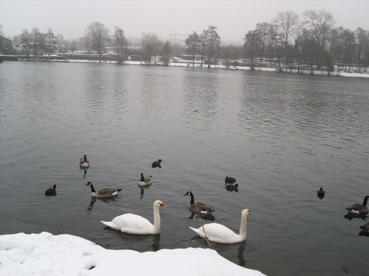 Neujahrsmorgen am Baldeneysee 2011