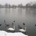 Neujahrsmorgen am Baldeneysee 2011