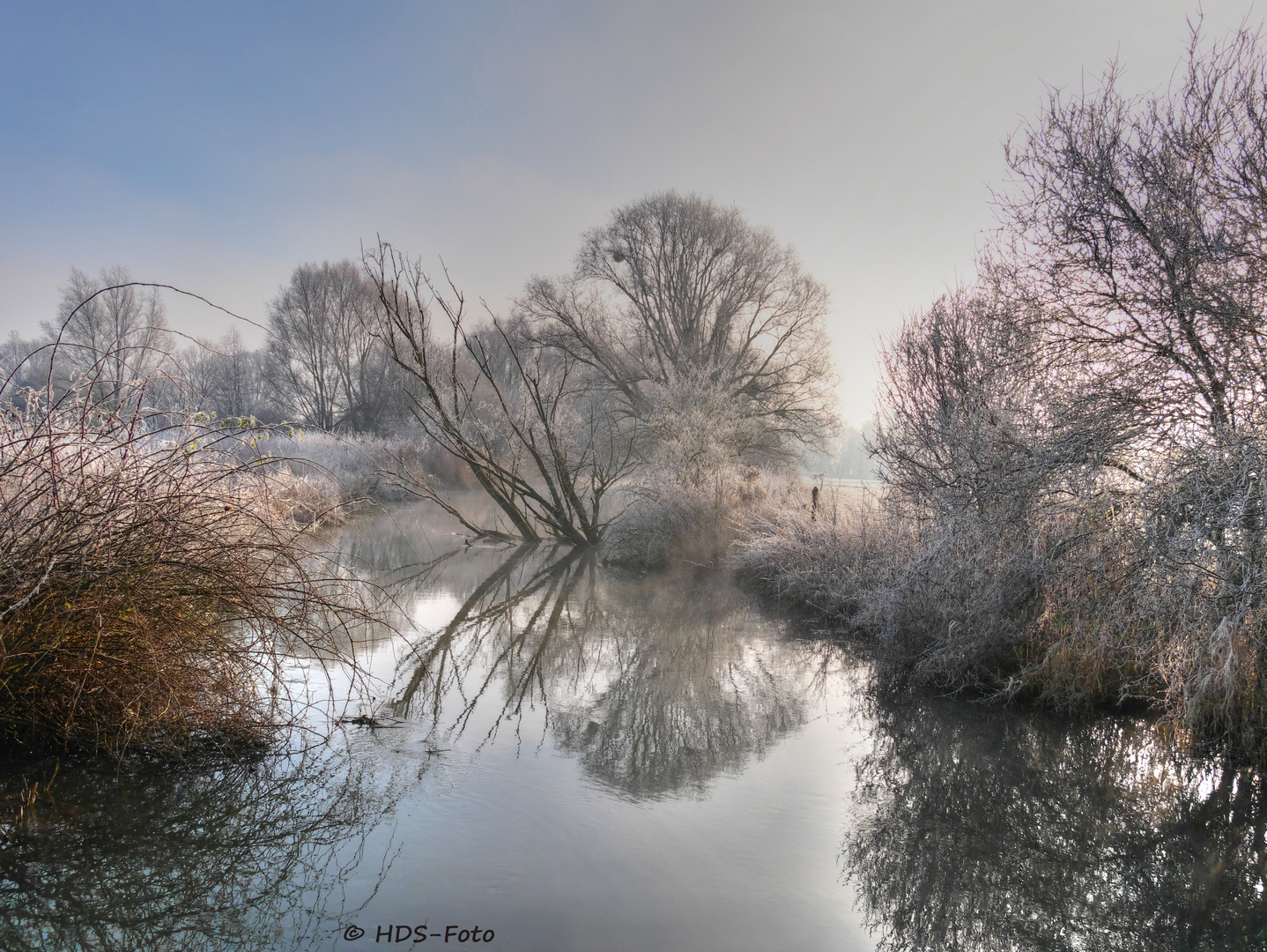 Neujahrsmorgen am Fluss 2