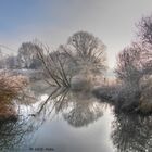 Neujahrsmorgen am Fluss 2