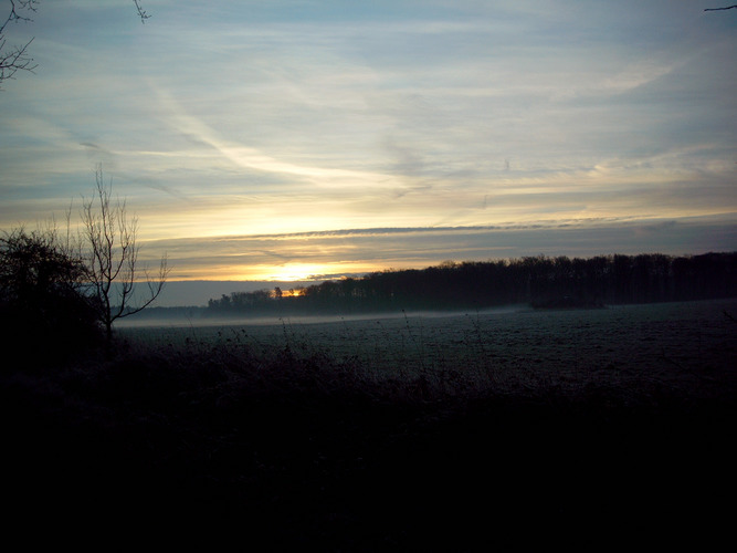 Neujahrsmorgen auf dem Bonner Venusberg