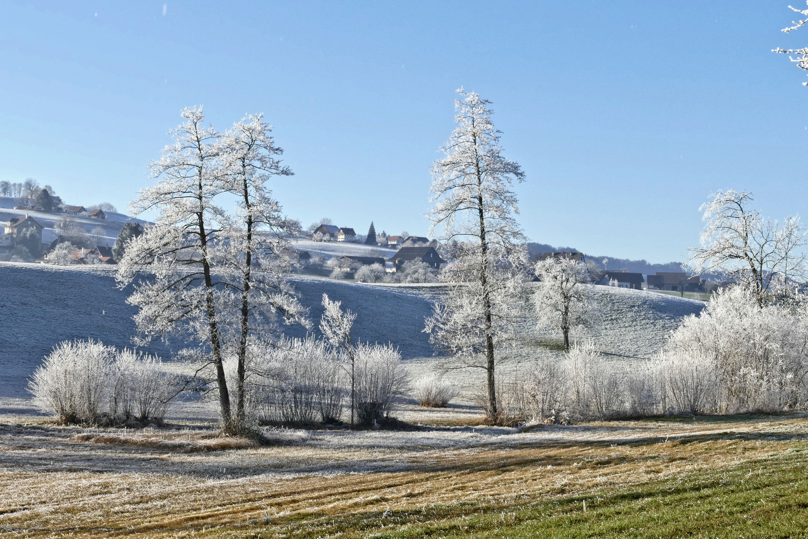 Neujahrsmorgen