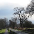 Neujahrsmorgen in der Wiesenstraße