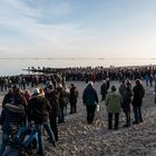 Neujahrsschwimmen auf Föhr