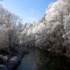 Neujahrssparziergang 2017