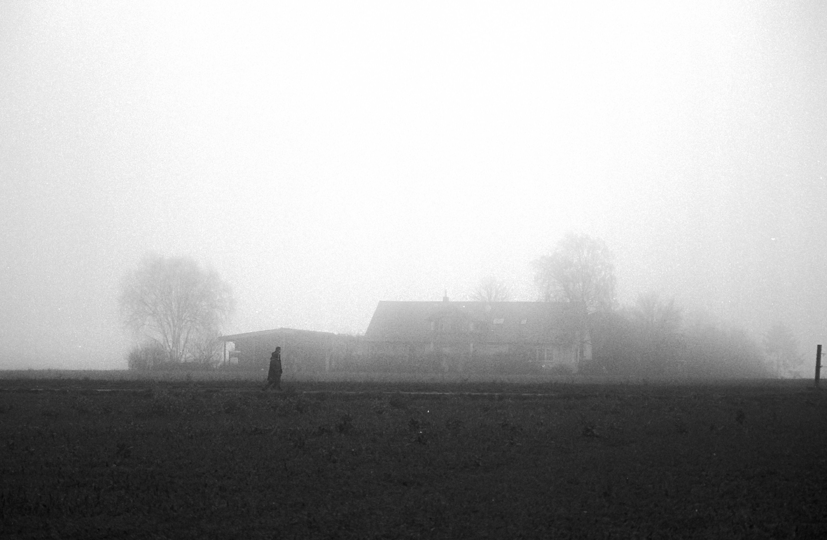 Neujahrssparziergang im Nebel