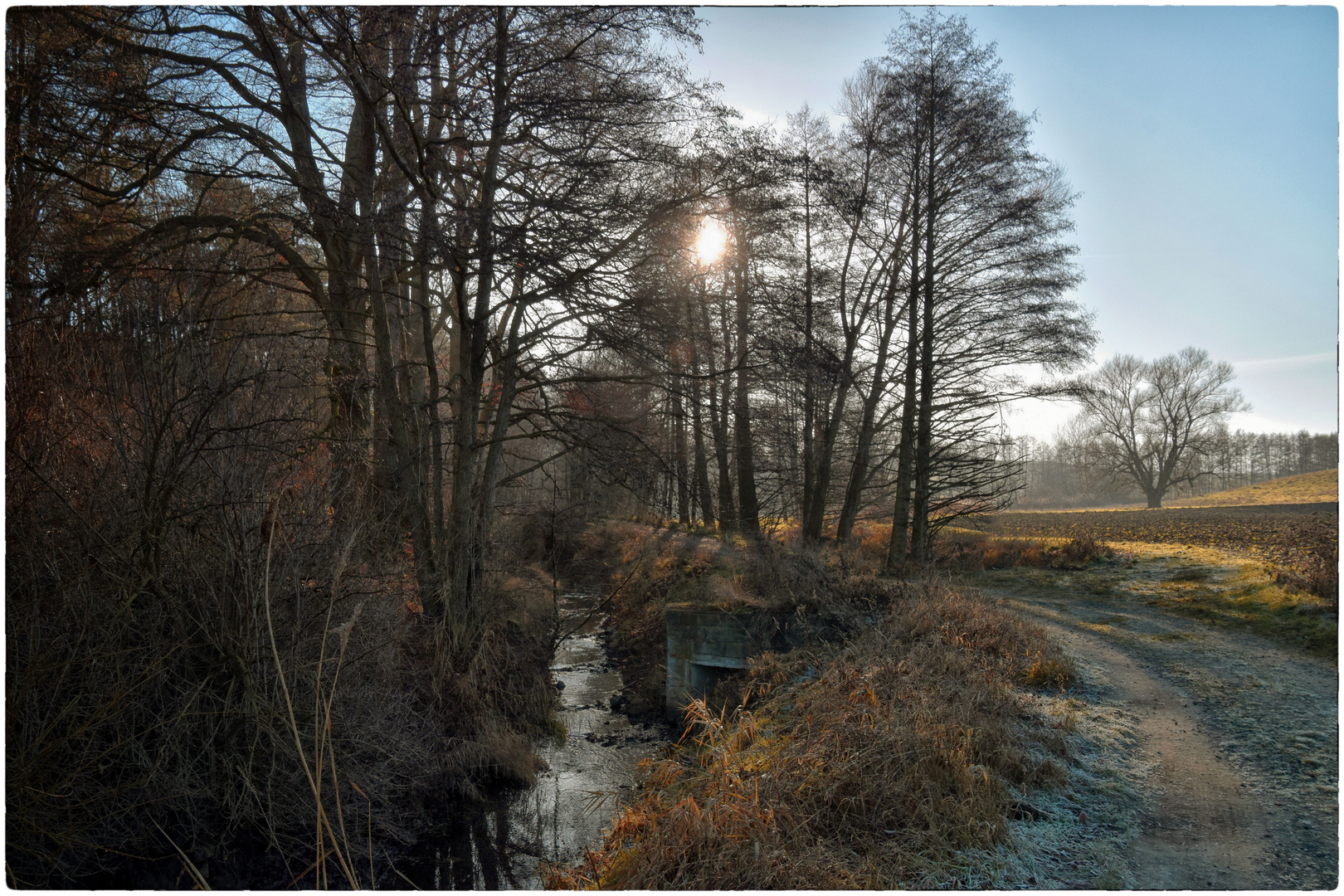 Neujahrsspaziergang 1