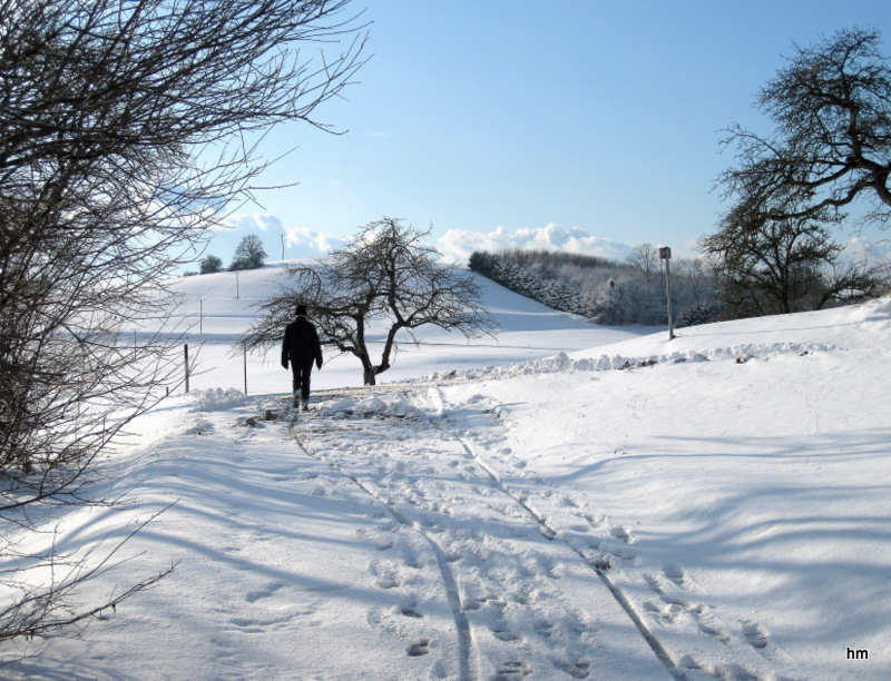 Neujahrsspaziergang 1.1.10