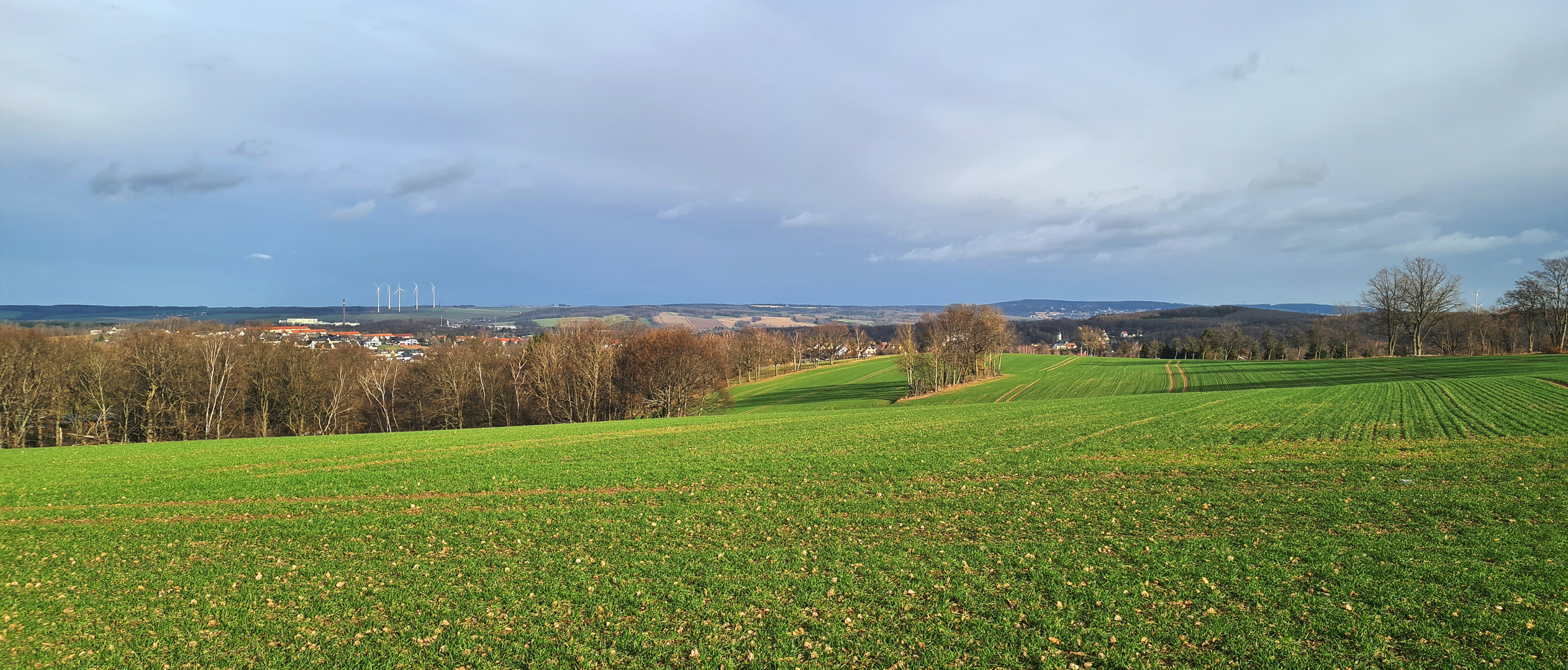 Neujahrsspaziergang (2)