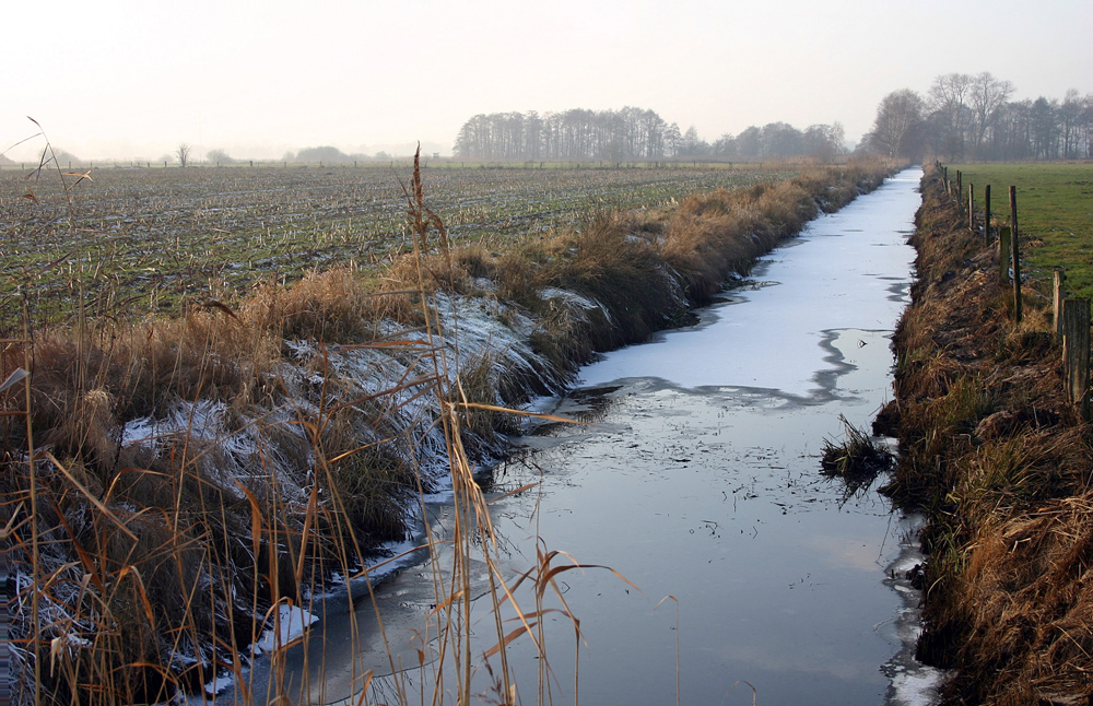 Neujahrsspaziergang 2