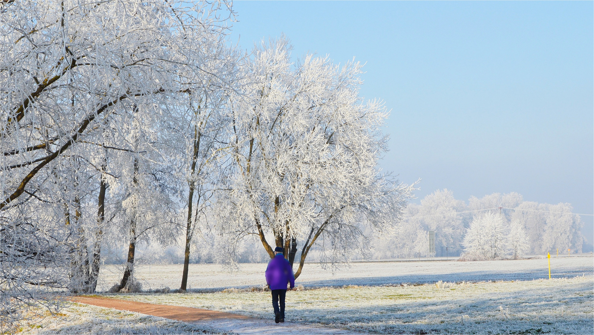 Neujahrsspaziergang