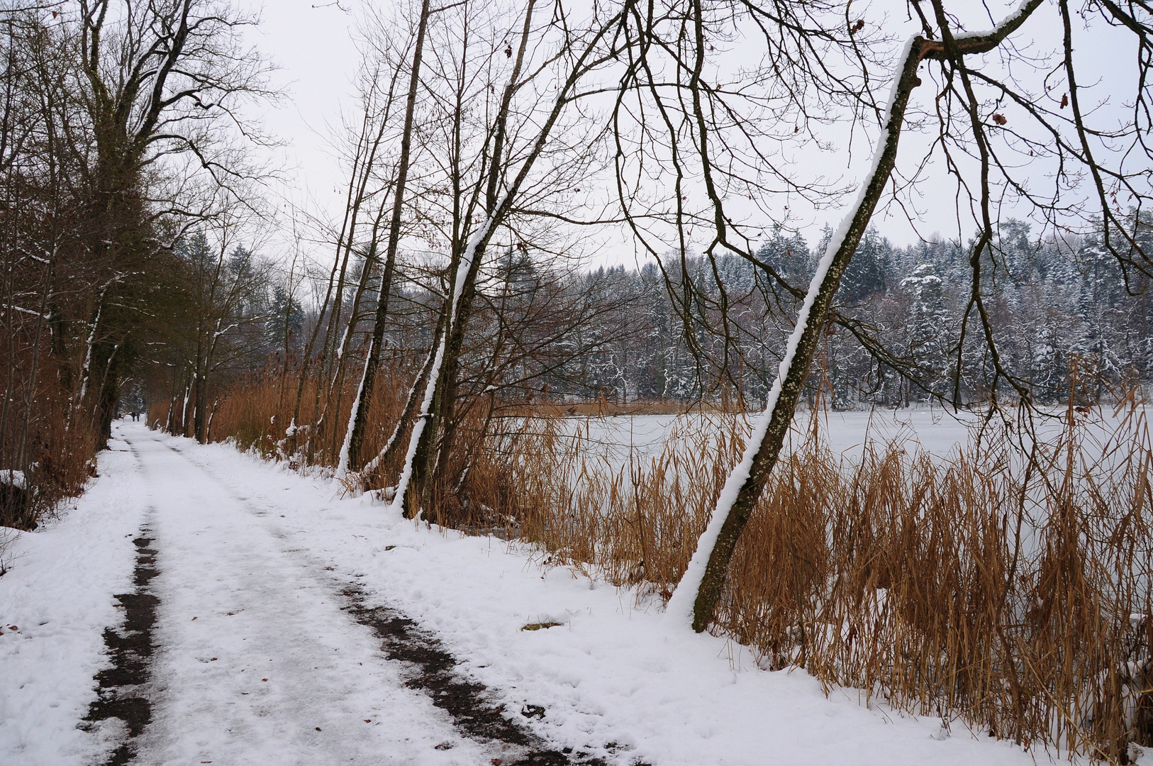 Neujahrsspaziergang