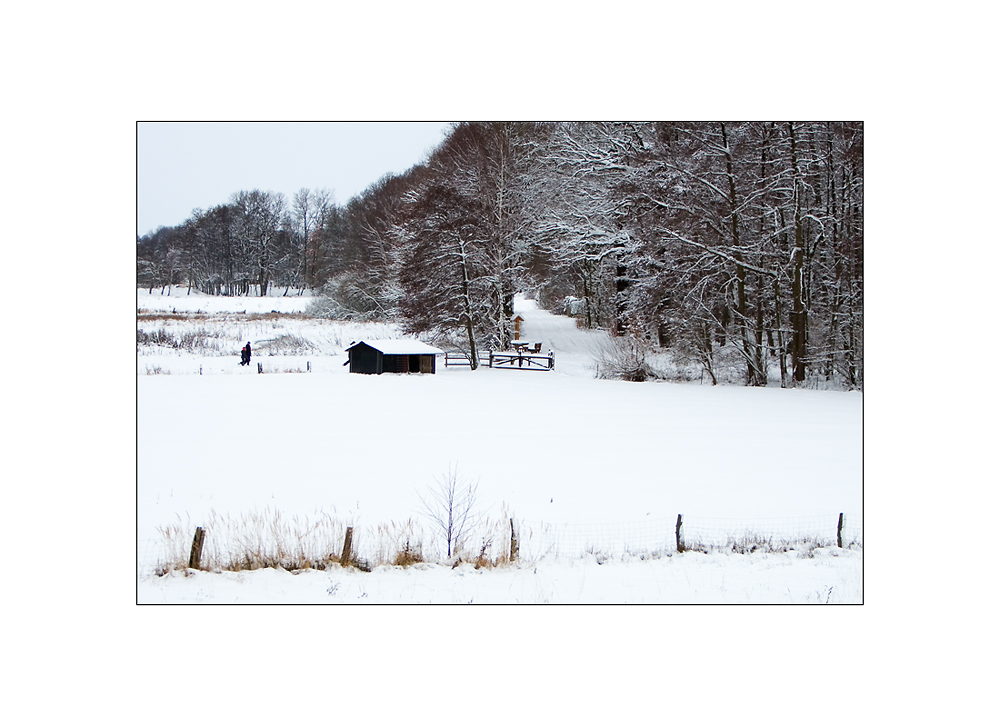 neujahrsspaziergang