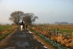 Neujahrsspaziergang