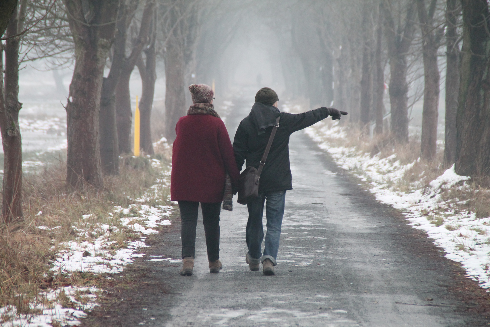 Neujahrsspaziergang -8-