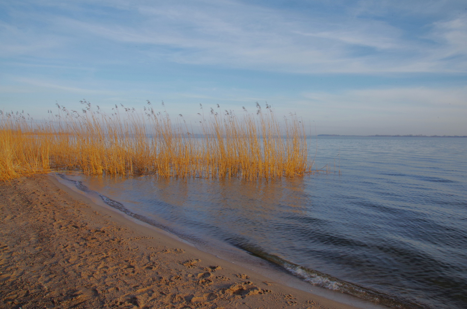 Neujahrsspaziergang am Achterwasser 