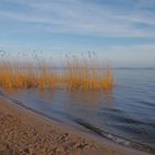 Neujahrsspaziergang am Achterwasser 