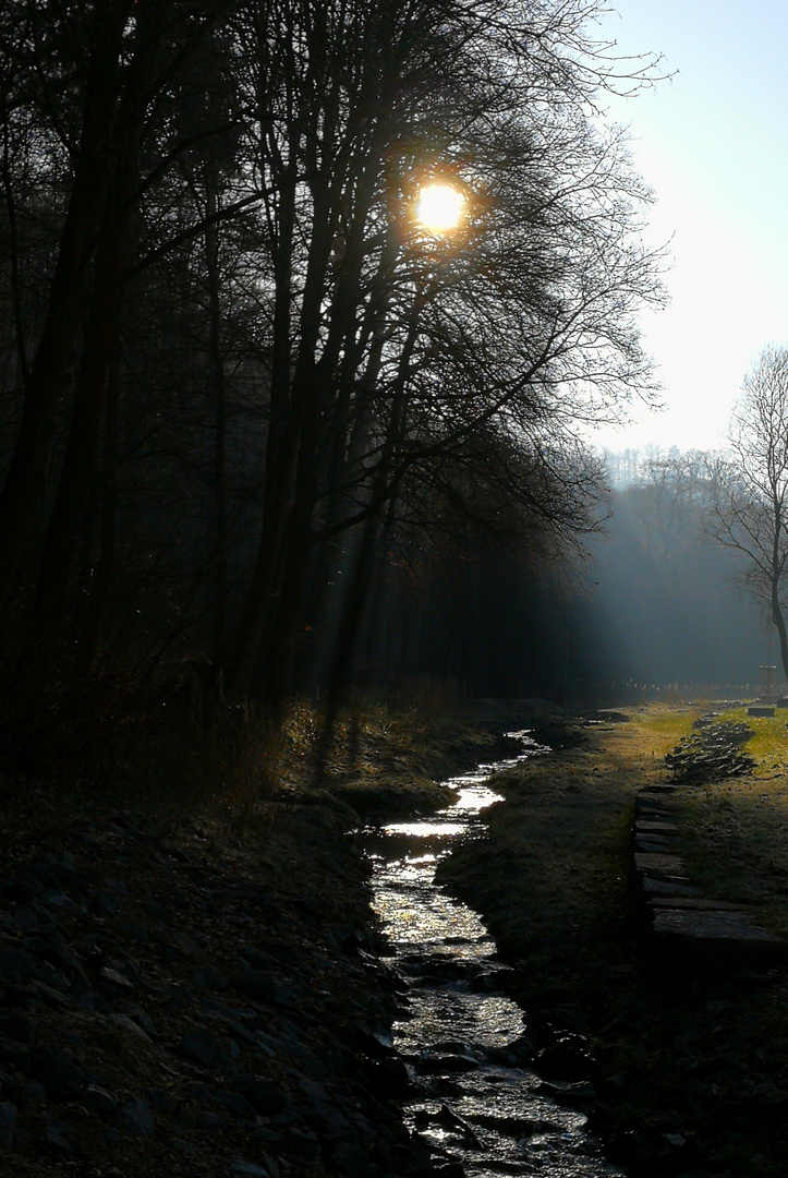 Neujahrsspaziergang am Bach