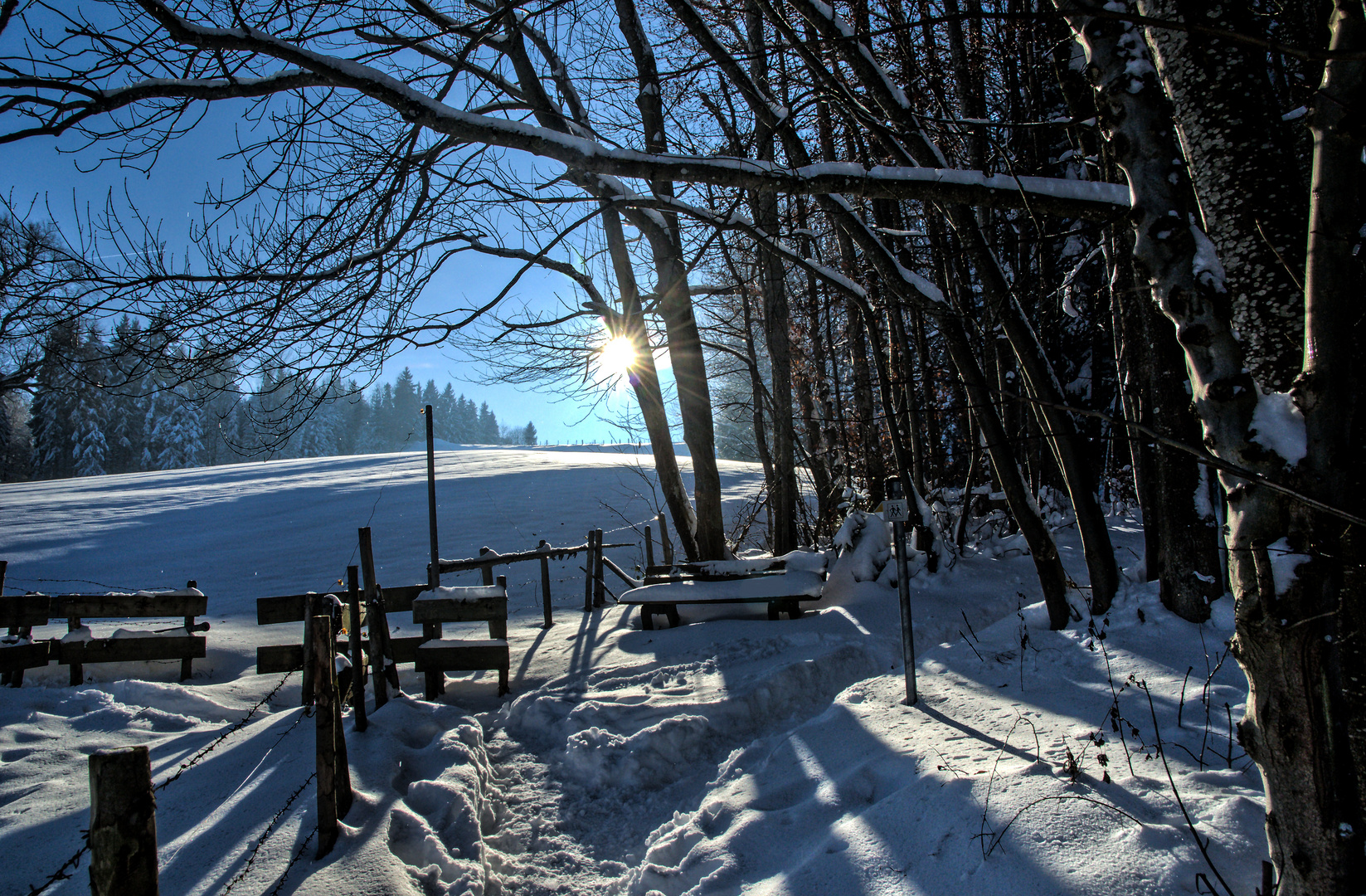 Neujahrsspaziergang