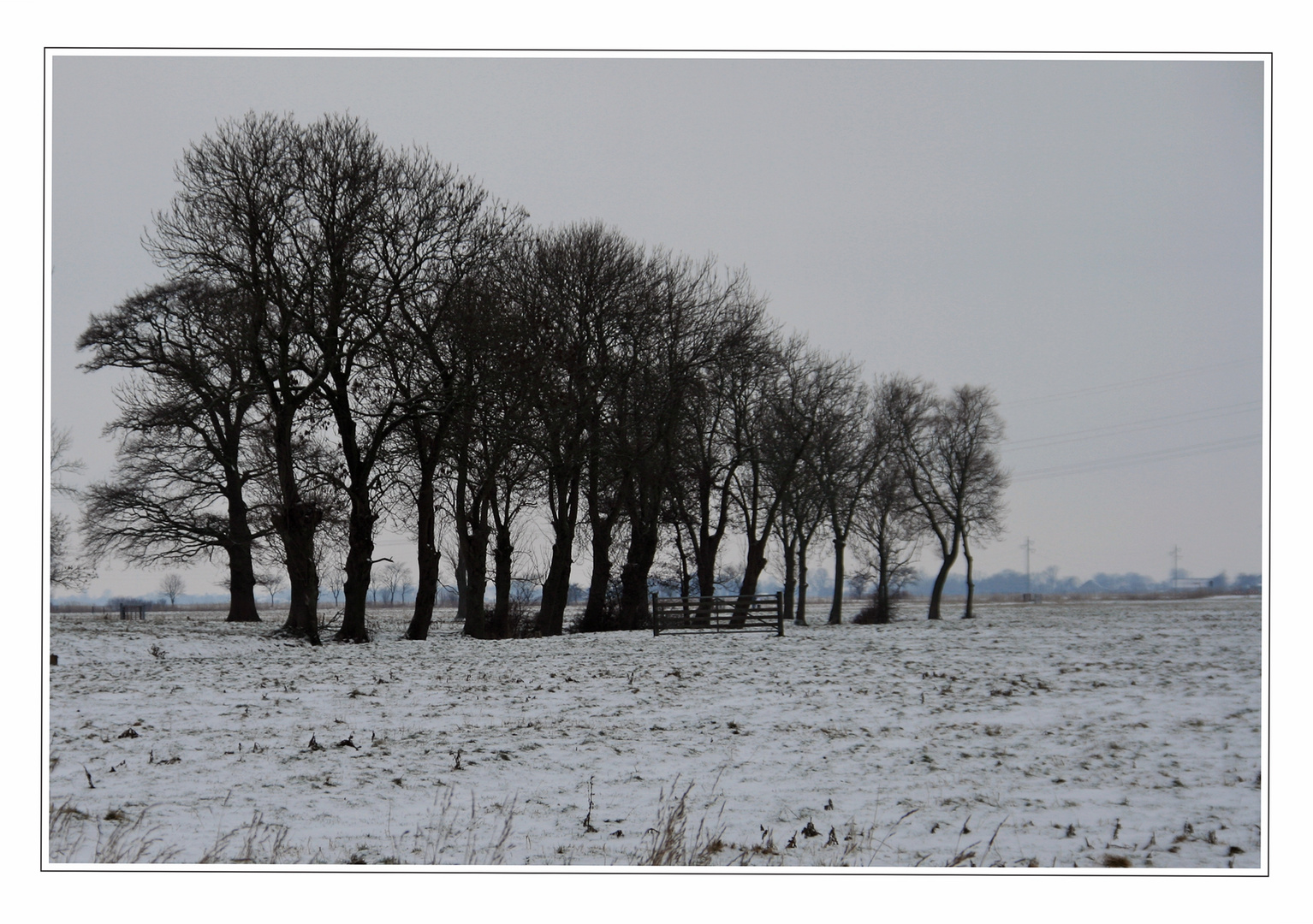 Neujahrsspaziergang