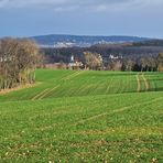 Neujahrsspaziergang...