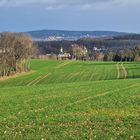 Neujahrsspaziergang...