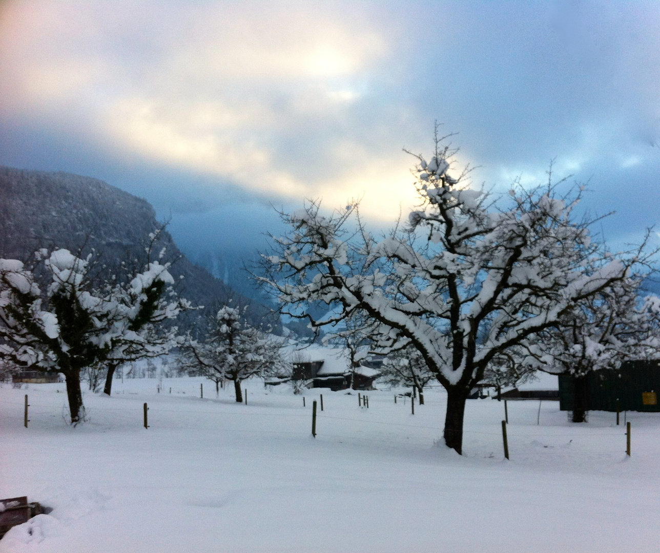 Neujahrsspaziergang