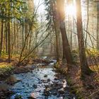 Neujahrsspaziergang im Brausebachtal