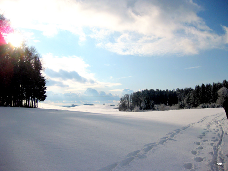 Neujahrsspaziergang im Gegenlicht