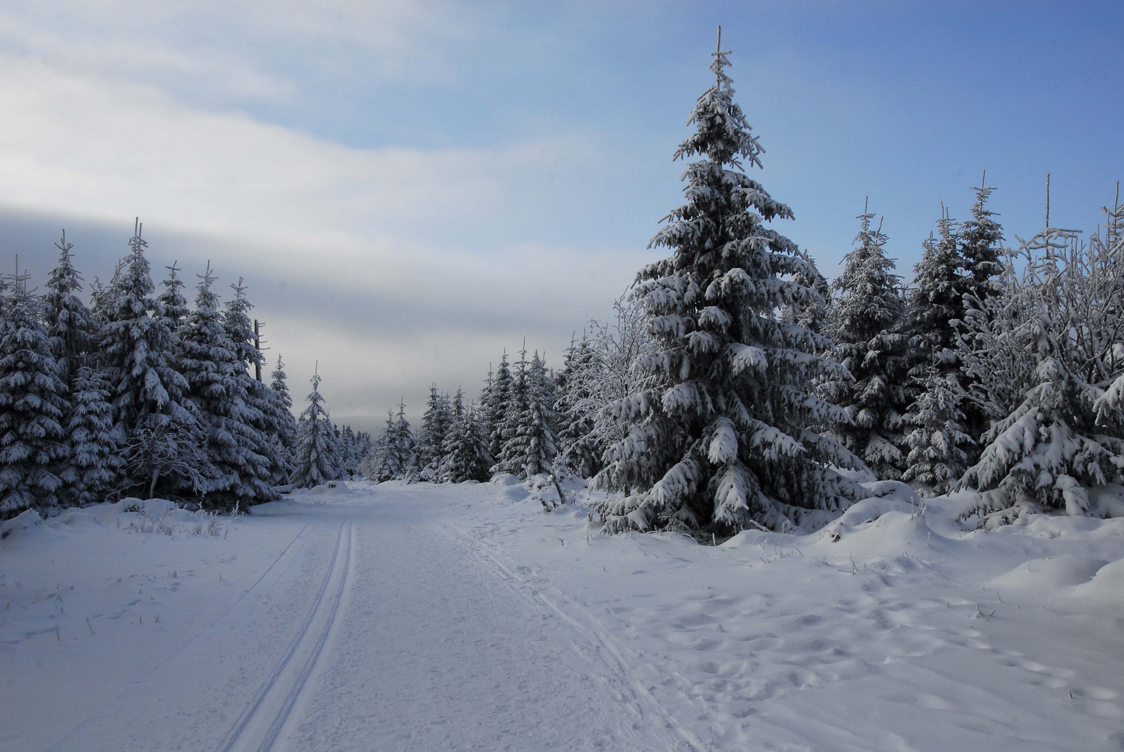 Neujahrsspaziergang im Harz