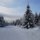 Neujahrsspaziergang im Harz