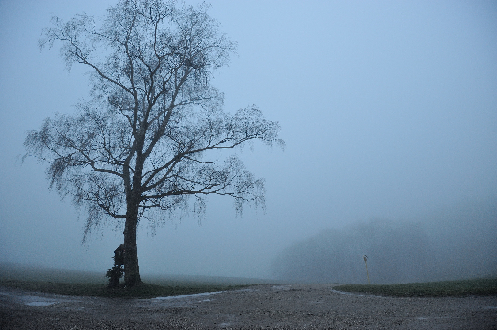 Neujahrsspaziergang: S`is koana da