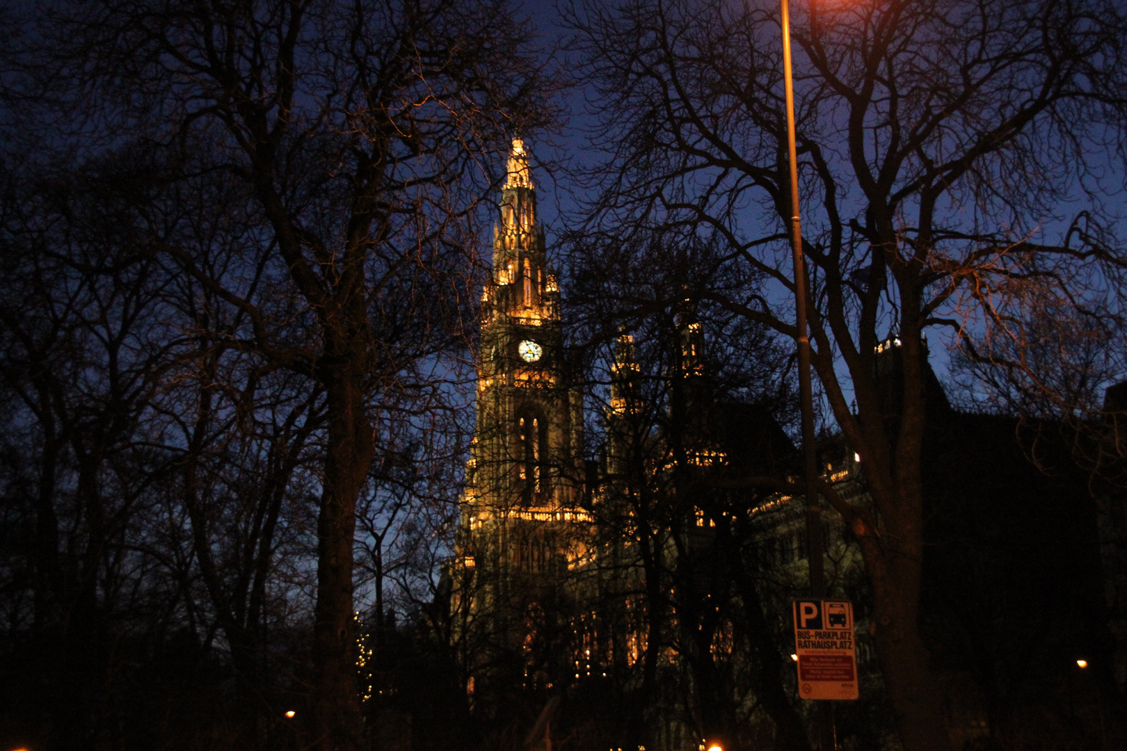 Neujahrsspaziergang Wiener Rathaus 1.1.2011