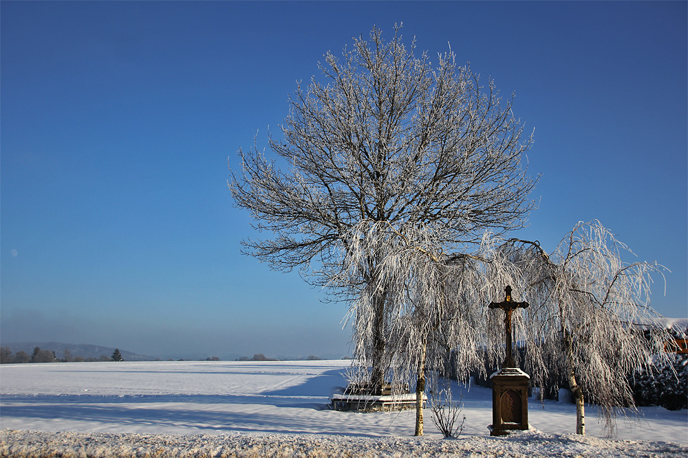 Neujahrstag 2015