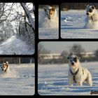 Neujahrstag im Schnee