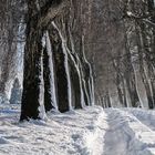 Neujahrstag im Schnee