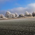 Neujahrstag vom Feinsten