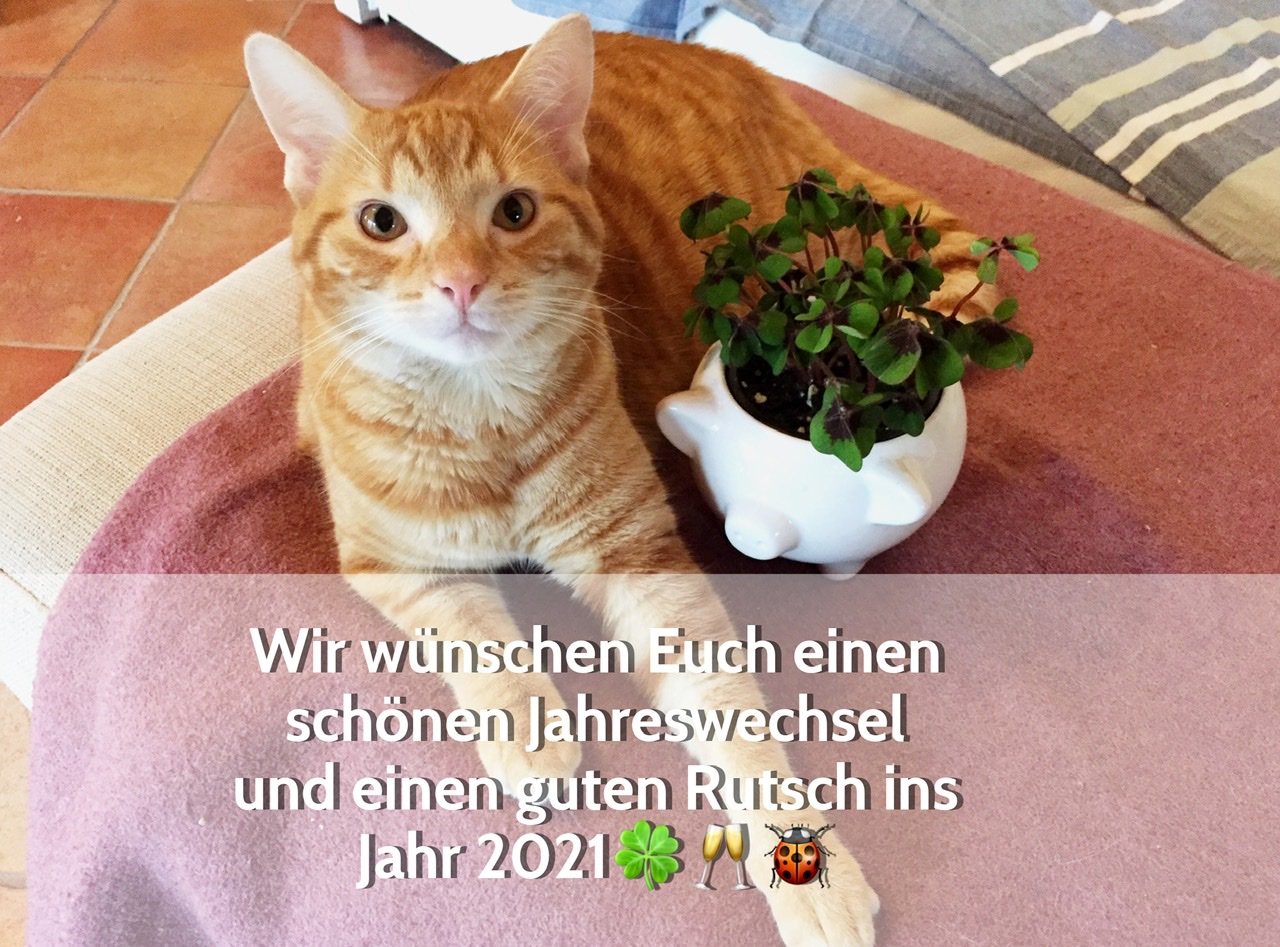 Neujahrswünsche 