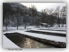 Neujahrswünsche