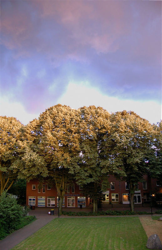 Neukirchen Dorf im Abendlicht