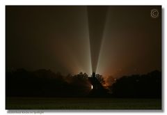 Neukirchner Kirche bei Nebel im Spotlight