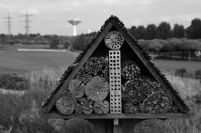 Neuland-Park Leverkusen