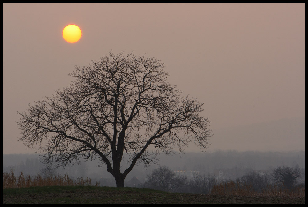 Neulich Abend