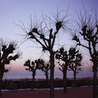 Neulich Abend an der Strandpromenade