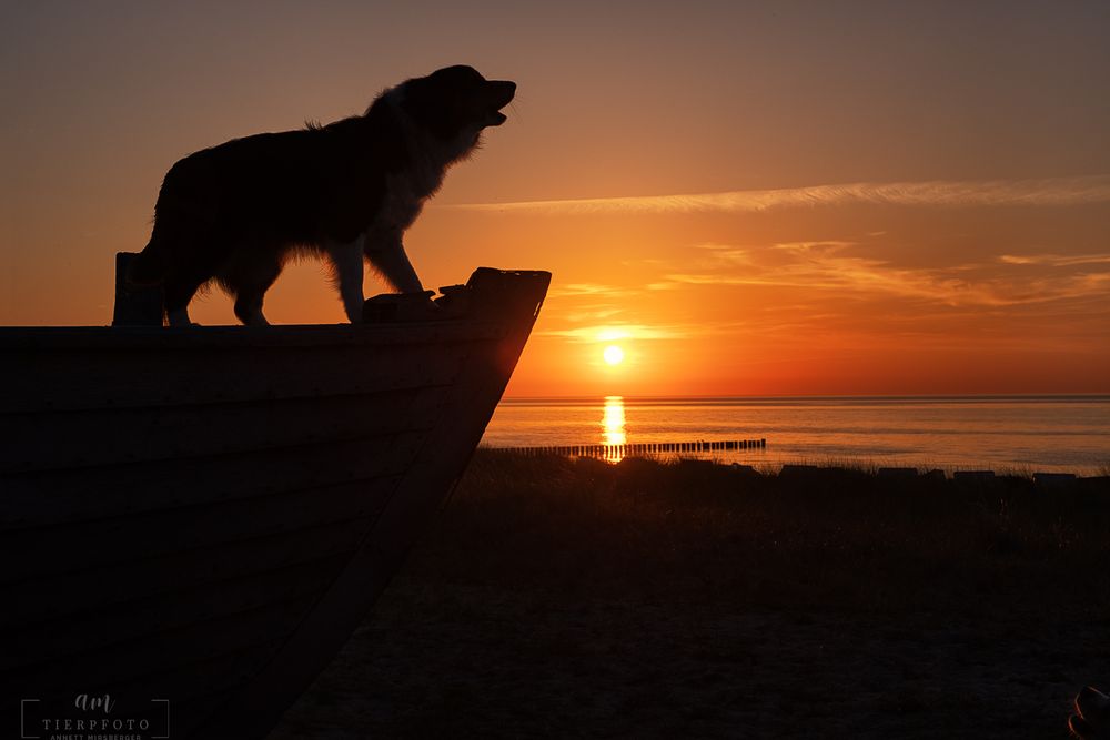 Neulich abend in Zingst...