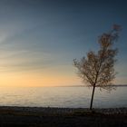 neulich abends am bodensee