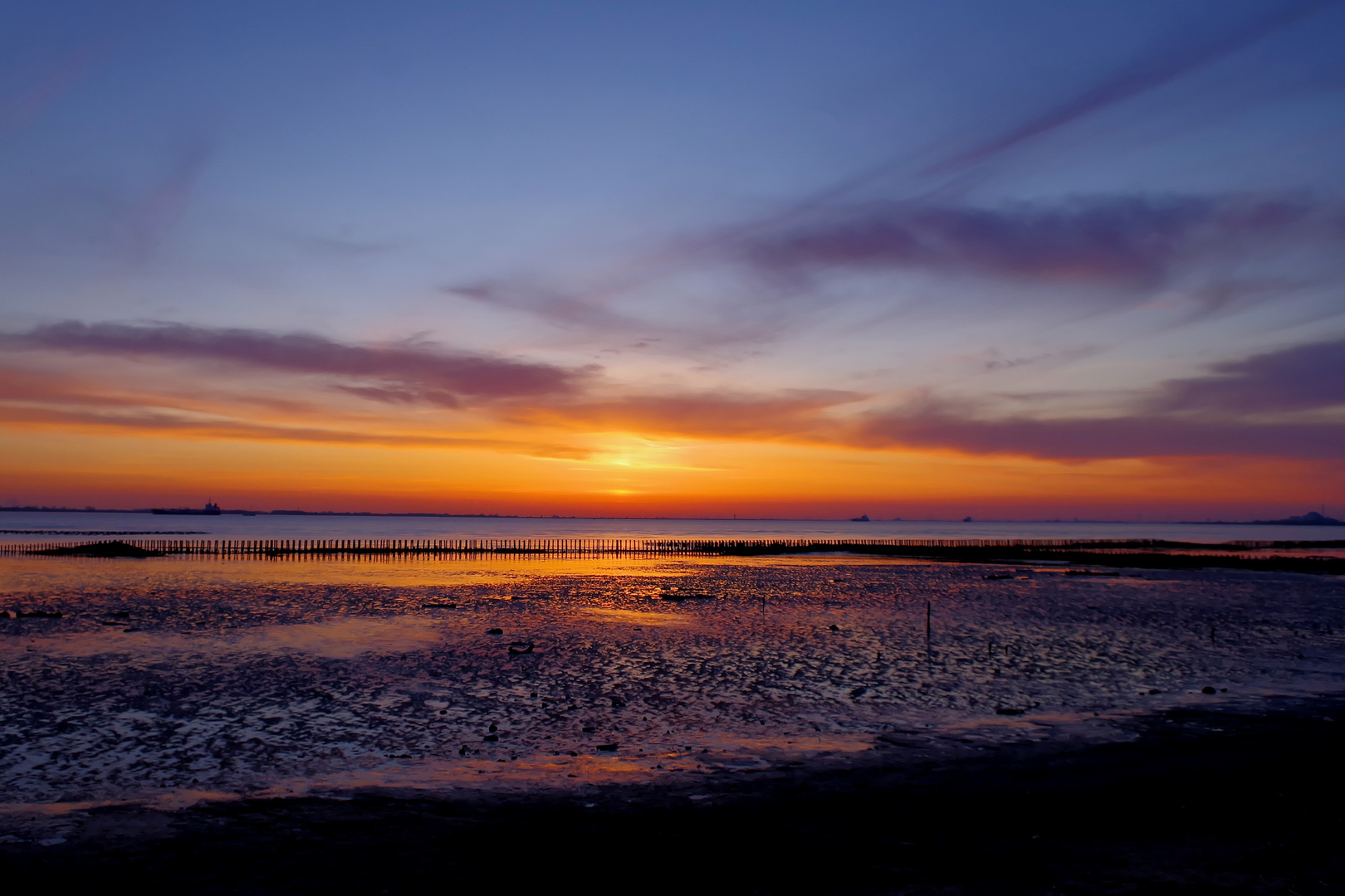 neulich abends an der Elbe