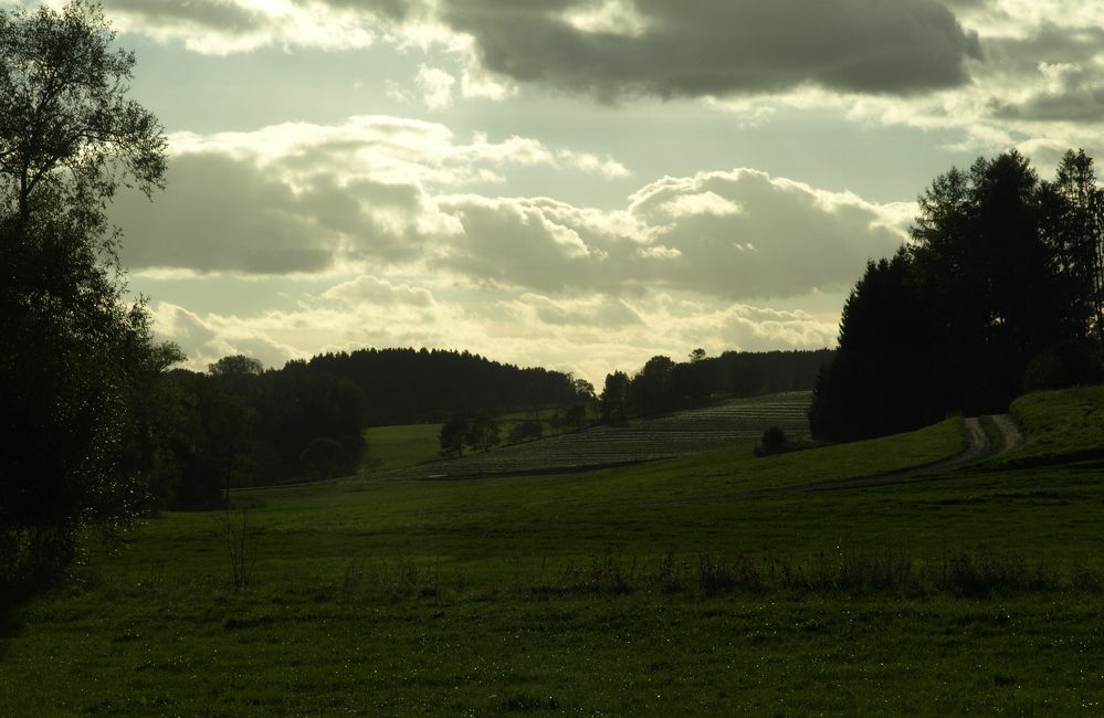 neulich abends im Rotbachtal