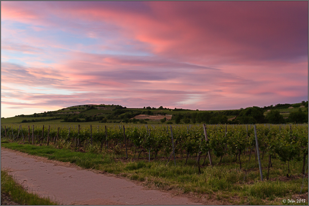 Neulich abends in der Pfalz ...