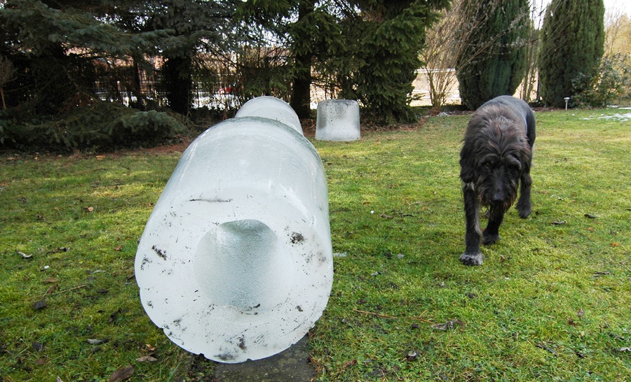 Neulich, als wir die Wassertonnen ausgekippt haben